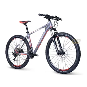 Bicicletta WHISTLE Alikut 650b RockShox Shimano XT 22v DT Swiss 466d 27.5" Grigio Bianco Opaco